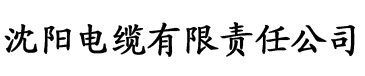 入嗯嗯趴趴要爸爸电缆厂logo